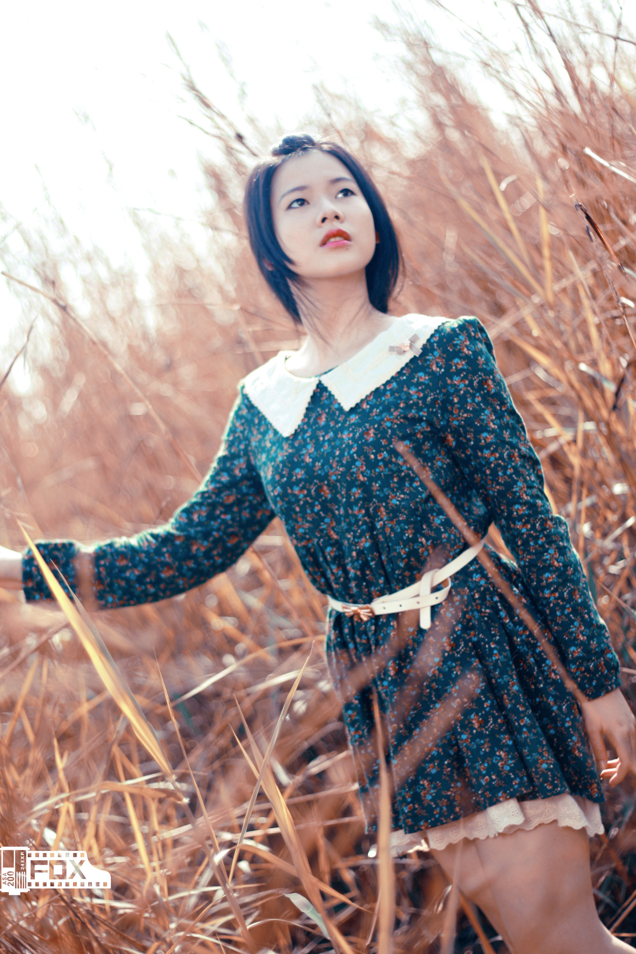 《为爱痴狂》在线观看